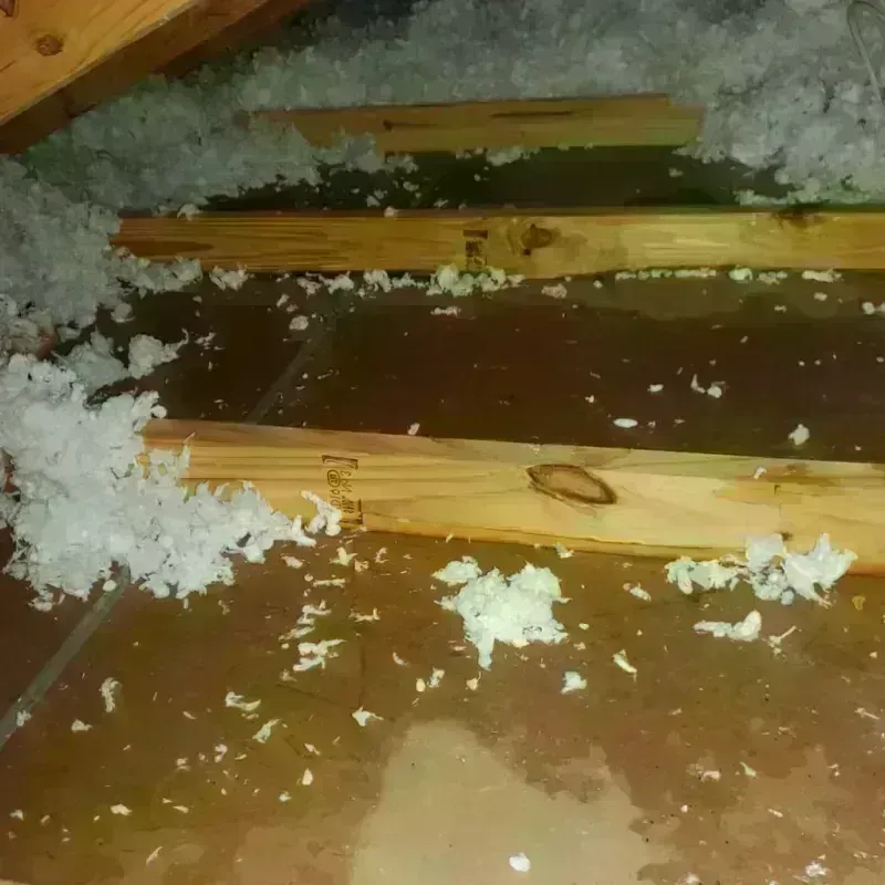 Attic Water Damage in Auburn, NH